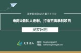 灵梦网创38计之第三十三计：电商U盘私人定制，打造王牌暴利项目