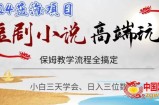 短剧高端玩法，保姆教学全搞定，小白日入三位数【揭秘】