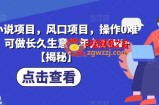 B站小说项目，风口项目，操作0难度，可做长久生意，年入10W+【揭秘】
