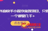最新抖音快手小程序变现项目，只要爆一个都是几千+
