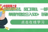 信息差玩法，风口项目，一部手机简单操作稳定日入500+【拆解】
