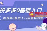 六一电商·拼多多运营0-1实操特训营，拼多多从基础到进阶的可实操玩法