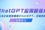 （12427期）ChatGPT应用新视角：普通人&amp;amp;企业如何拥抱ChatGPT，引领智能潮流