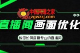 直播间画面优化教程，教您如何搭建专业的直播间-价值399元
