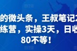 被忽视的微头条，王叔笔记21天微头条训练营，实操3天，日收益60-80不等