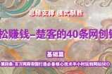 《楚客的40条锦囊-基础篇》第四条：百万网商帝国打造必备核心技术半小时玩转网站SEO