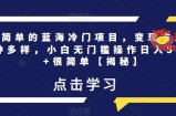 超简单的蓝海冷门项目，变现方式多种多样，小白无门槛操作日入500+很简单【揭秘】