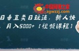 虚拟项目垂直类目玩法，新人快速起店，月入5000+