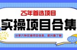 2025年实操六大项目实操演练，挂机类型，AI直播类型，轻资产创业类型，