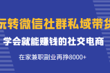 玩转微信社群私域带货，学会就能赚钱的社交电商，在家兼职副业再挣8000+