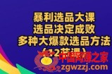 暴利选品大课：选品决定成败，教你多种大爆款选品方法(12节课)