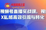 21天视频号直播实战课，视频号X私域高效引流与转化