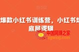 21天爆款小红书训练营，小红书爆款的底层逻辑