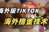 抖音海外版tiktok撸金技术，这个风口行业，赚钱真的不难【揭秘】