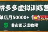 拼多多虚拟电商训练营月入30000+你也行，暴利稳定长久，副业首选