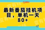 （7918期）全新番茄小说放置挂机，单机版一天80 可批量处理!