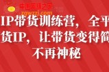 素人IP带货训练营，全平台最强带货IP，让带货变得简单、不再神秘