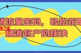 营销流量密码，轻松获取精准客户的秘诀