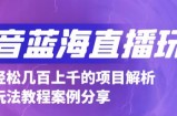 抖音最新蓝海直播玩法，3分钟赚30元，一天轻松1000+，只要你去直播就行【详细玩法教程】