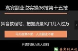 嘉宾副业说实操36技第十五技：抖音教程站，把握流量风口月入过万