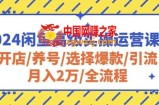 2024闲鱼高级实操运营课程：开店/养号/选择爆款/引流/月入2万/全流程