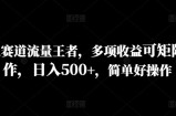 历史赛道流量王者，多项收益可矩阵操作，日入500+，简单好操作