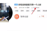 音乐合集赚钱项目，月入2万+