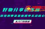 好物分享训练营：短视频带货最新爆单实战核心，从入门到精通