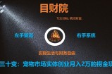 《目财36变》第三十变：宠物市场实体创业月入2万的捞金项目