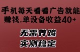 手机每天看看广告就能挣钱，单设备收益40+，无需养鸡，实测稳定【揭秘】