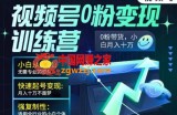 视频号0粉变现训练营，小白从0到1，快速起号变现，月入十万不是梦