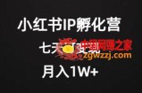 价值2000+的小红书IP孵化营项目，超级大蓝海，七天即可开始变现，稳定月入1W+
