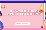 新手玩转虚拟项目实战，揭秘单品1万+大类目操作模式【视频课程】