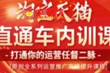 天问电商·2023淘宝天猫直通车内训课，零基础学起直通车运营实操课程