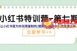 小红书特训营-第七期 让小红书变为你无限复制的/提款机 低成本引流快速出单