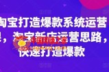 淘宝打造爆款系统运营课，淘宝新店运营思路，快速打造爆款