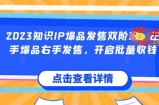 2023知识IP爆品发售双阶班，左手爆品右手发售，开启批量收钱