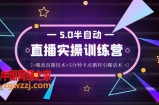 蚂蚁·5.0半自动直播2345打法，半自动爆流直播技术+5分钟卡点循环引爆话术
