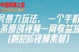 视频号暴力玩法，一个手机几分钟一条原创视频一周收益3800+（附820G视频素材）