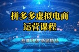 拼多多虚拟资料项目，从起店到出单全套系列教程，从0到1小白也可以轻松上手