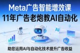 Meta广告智能增效课，11年广告老炮教AI自动化，助您运用AI与自动化技术提升广告收益