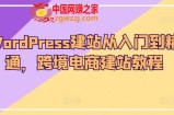 WordPress建站从入门到精通，跨境电商建站教程
