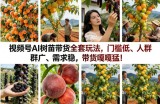 视频号AI树苗带货全套玩法，门槛低、人群广、需求稳，带货嘎嘎猛！(更新0426)