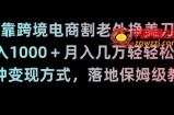 靠跨境电商割老外挣美刀，日入1000＋月入几万轻轻松松！多种变现方式，落地保姆级教程【揭秘】