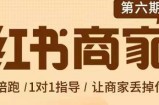 贾真-小红书商家营第6期商家版，21天带货陪跑课，让商家丢掉付流量