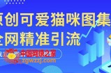 黑科技纯原创可爱猫咪图片，全网精准引流，实操5个VX号被加频繁