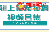 编辑上传宠物搞笑视频合集：就可以通过YouTube赚钱月入2500美元