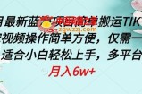四月最新蓝海项目，简单搬运TIKTOK萌宠视频，操作简单方便，仅需一部手机【揭秘】