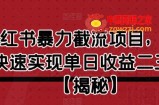 小红书暴力截流项目，新手快速实现单日收益二三百【仅揭秘】