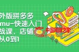 （7876期）国际版拼多多平台Temu-快速上手实战演练课，店面实战演练从0到1（12堂课）